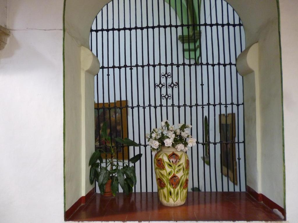 Hotel Monte Alban - Solo Adultos Oaxaca Esterno foto